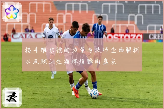 格斗维尔德的力量与技巧全面解析以及职业生涯辉煌瞬间盘点