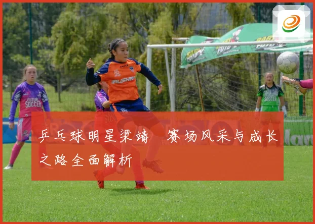 乒乓球明星梁靖崑赛场风采与成长之路全面解析