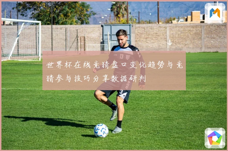 世界杯在线竞猜盘口变化趋势与竞猜参与技巧分享数据研判