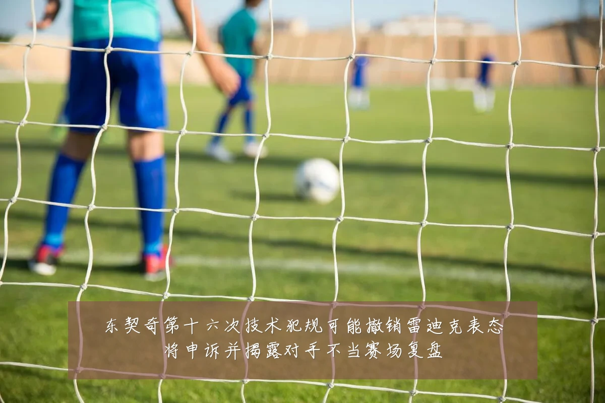 东契奇第十六次技术犯规可能撤销雷迪克表态将申诉并揭露对手不当赛场复盘